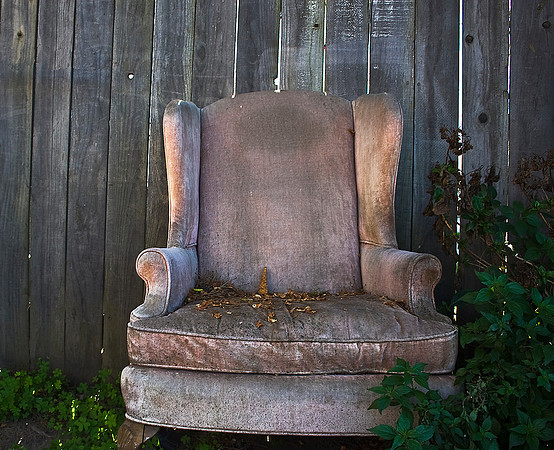 Chair in Garden
