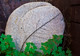 Zen Stone