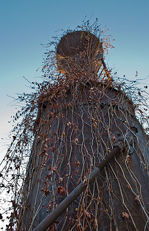 Tower & Vines