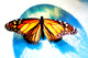 Monarch