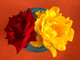 He Brought Me Roses #1