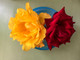 He Brought Me Roses #2
