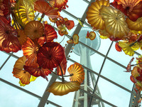 Flowers and Space Needle