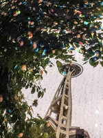 Space Needle Orb Reflection