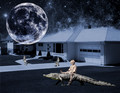 In Awhile Crocodile