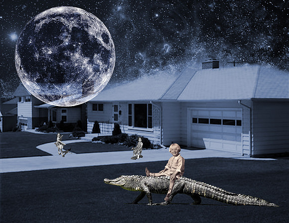 In Awhile Crocodile