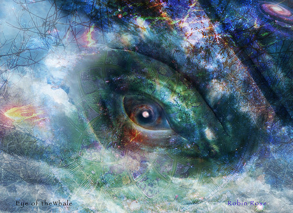 Cosmic Whale Eye