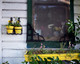 Small Town Windowbox