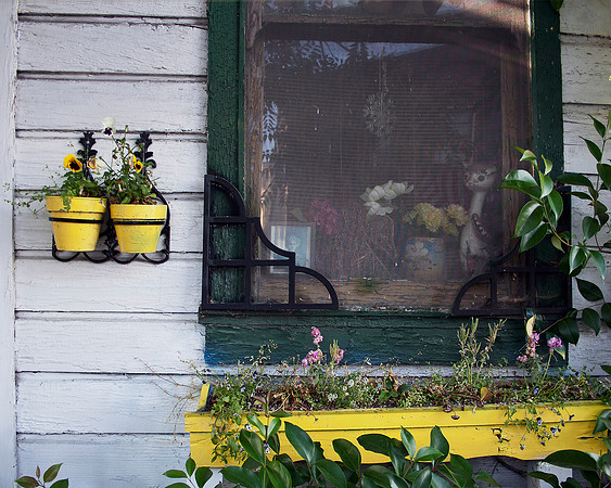 Small Town Windowbox